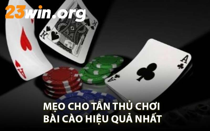 Mẹo Cho Tân Thủ Chơi Bài Cào Hiệu Quả Nhất