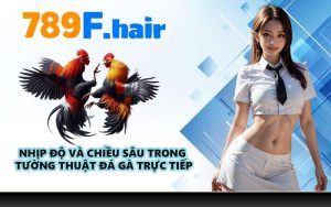 Nhịp độ và chiều sâu trong tường thuật đá gà trực tiếp