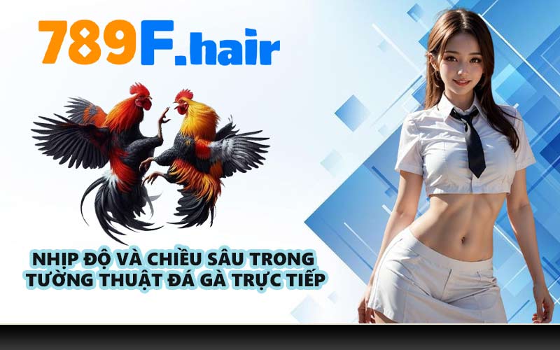 Nhịp độ và chiều sâu trong tường thuật đá gà trực tiếp